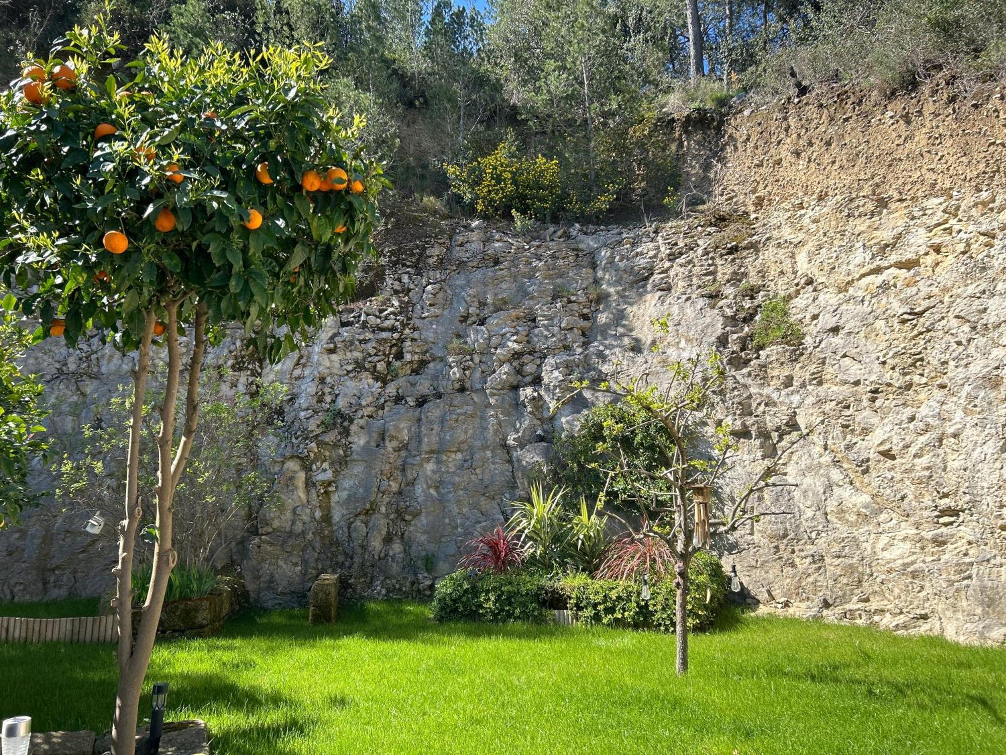 Loft Sauna Balneotherapie Beaucaire  Exteriér fotografie